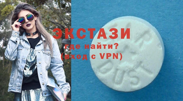 ECSTASY Богородицк