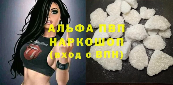 ECSTASY Богородицк